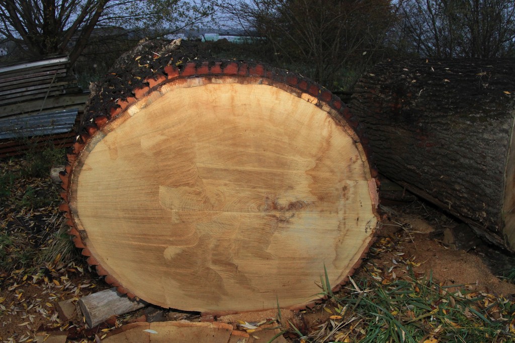 Baumscheibe 120 Cm Durchmesser