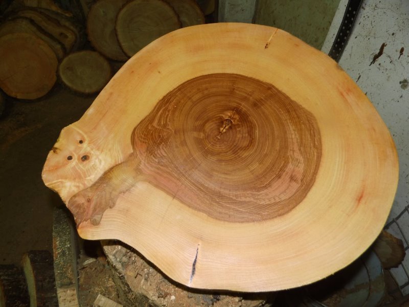 Eiche 120x2cm Eiche ca Baumscheibe Tischplatte Holzscheibe 